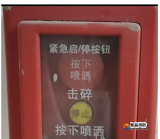 1735888179206868.png image.png