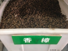 香樟樹(shù)種子